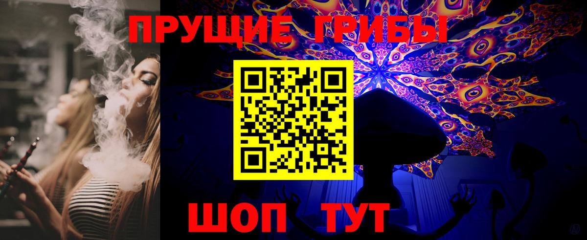 Псилоцибиновые грибы Psilocybine cubensis  Вход с VPN  Дивногорск 