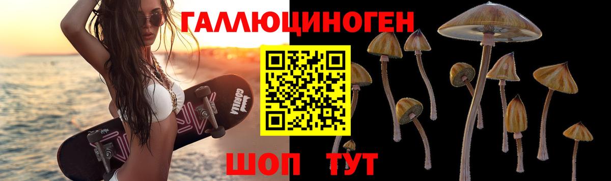 Галлюциногенные грибы мухоморы Дивногорск